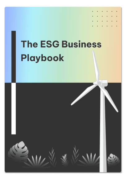 ESG Playbook